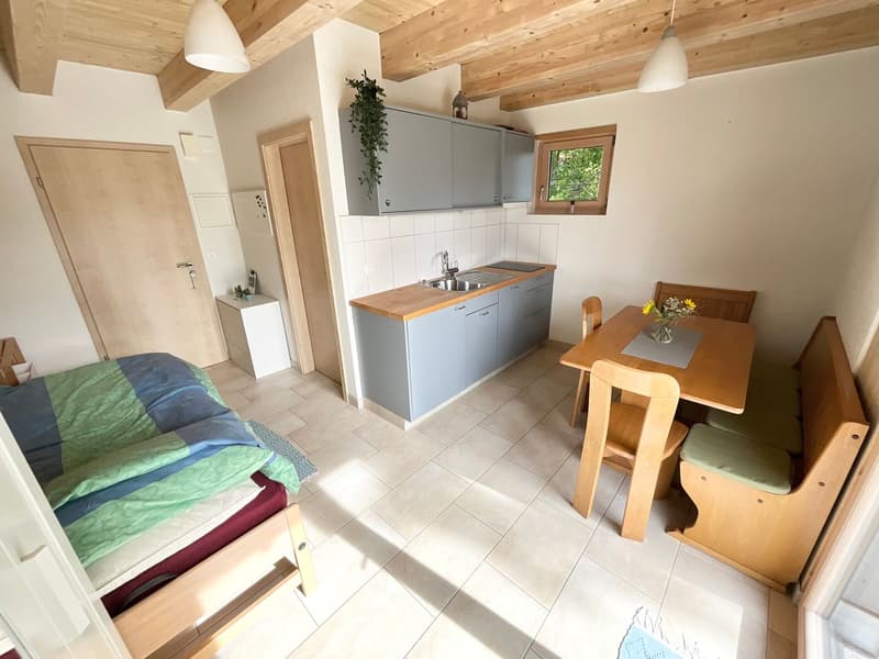 Studio meublé avec terrasse et vue dégagée (2)