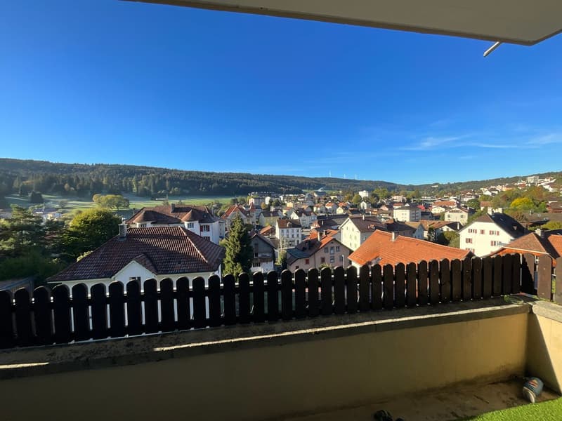 Appartement de 3 pièces avec balcon et vue dégagée (6)