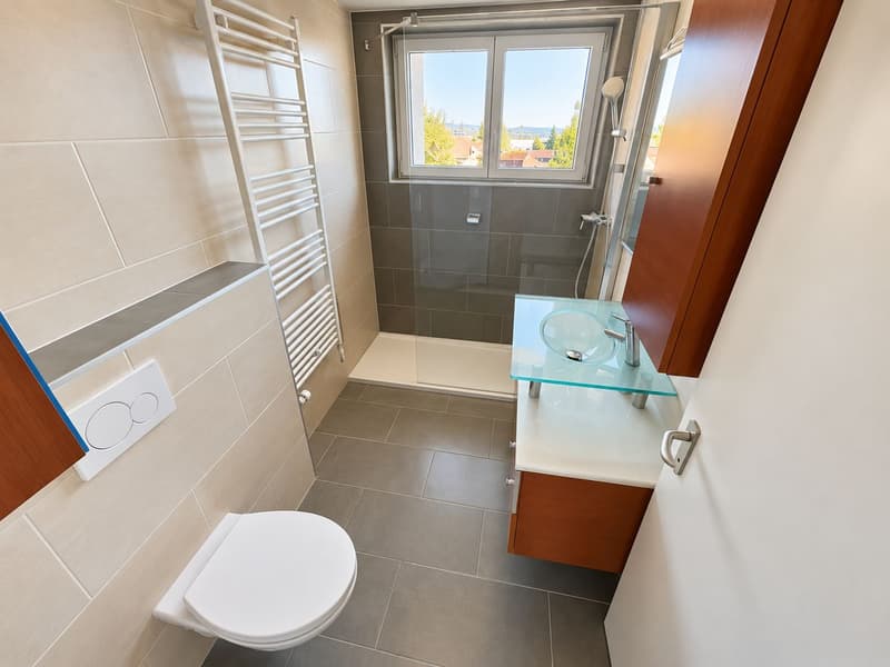 Spacieux appartement de 4,5 pièces avec balcon Ouest (6)