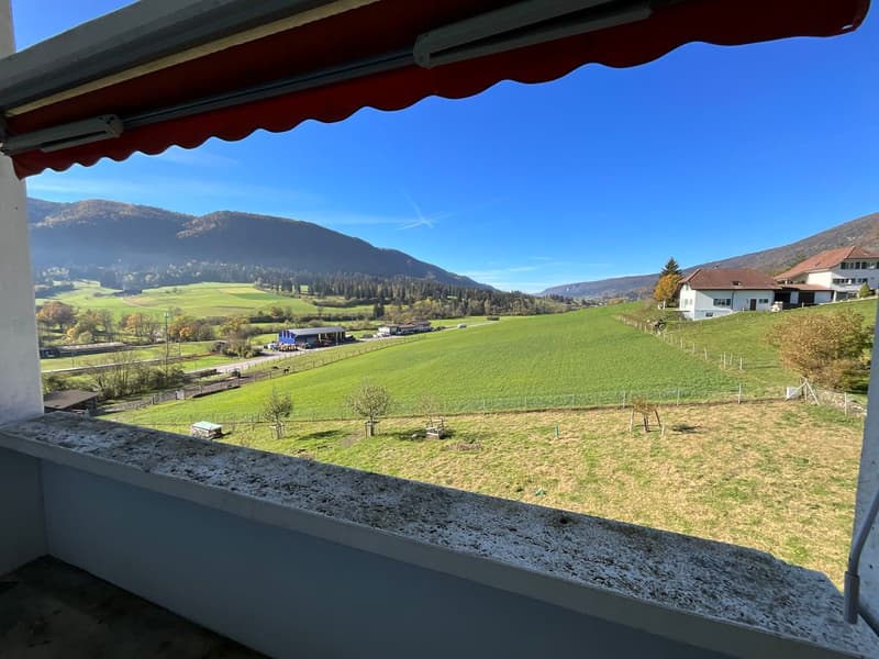 Bel appartement de 3,5 pièces avec balcon et vue dégagée (9)