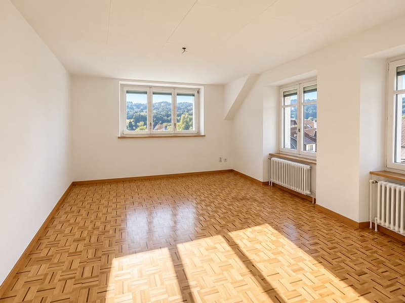 Bel appartement rénové de 3 pièces (3)