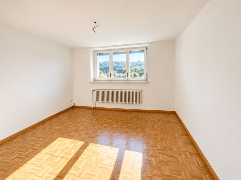 Bel appartement rénové de 3 pièces (6)