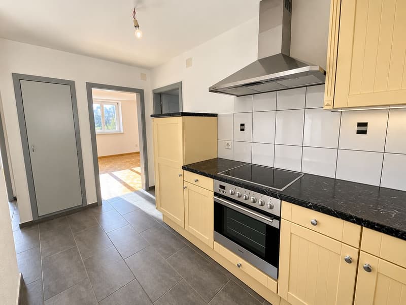 Bel appartement rénové de 3 pièces (1)