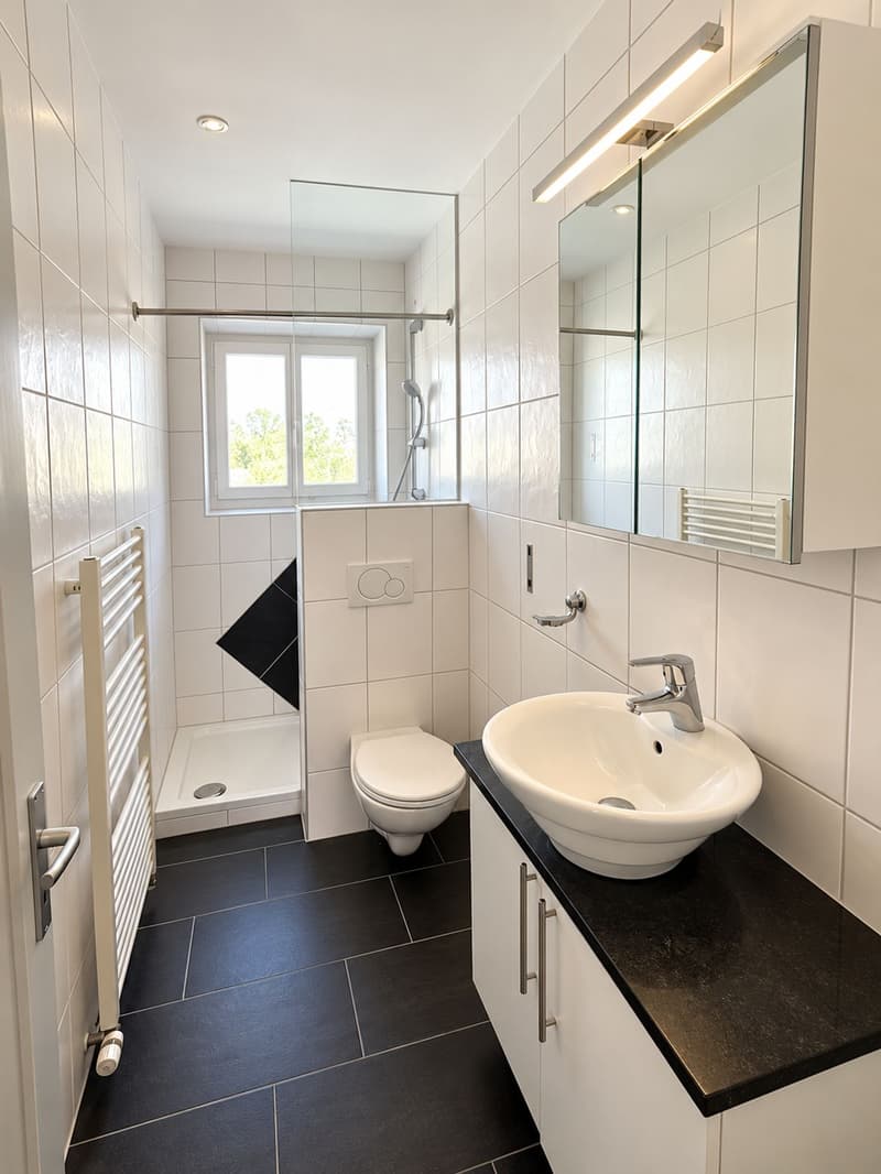 Bel appartement rénové de 3 pièces (4)