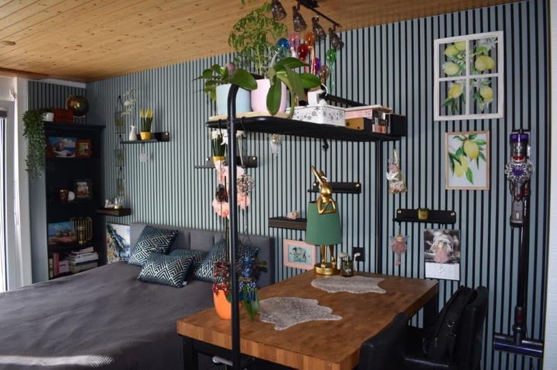 a bed, desk, chair, shelves, books, plant pots, lamps, artworks