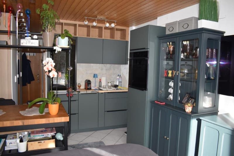kitchen with wooden countertops, hanging ceiling lights, various potted plants, and storage cabinets