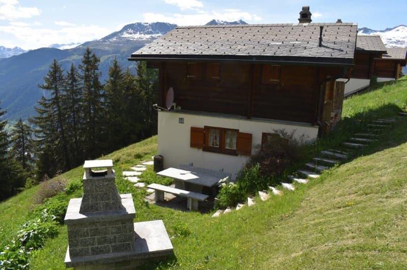 Alphütte / Chalet in idyllischer Berglandschaft (2t Wohungs bewilligt) (2)