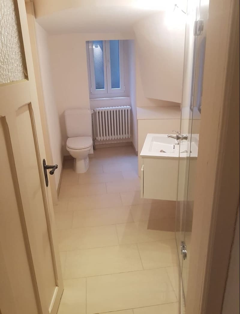 Charmante 3.5-Zimmer-Wohnung im Altbau in Brig-Glis – sofort verfügbar! (6)