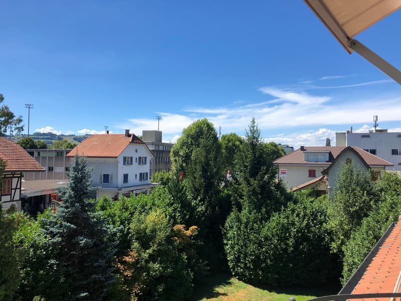 Helle 2.5-Zimmer-Wohnung mit kleinem Balkon (1)