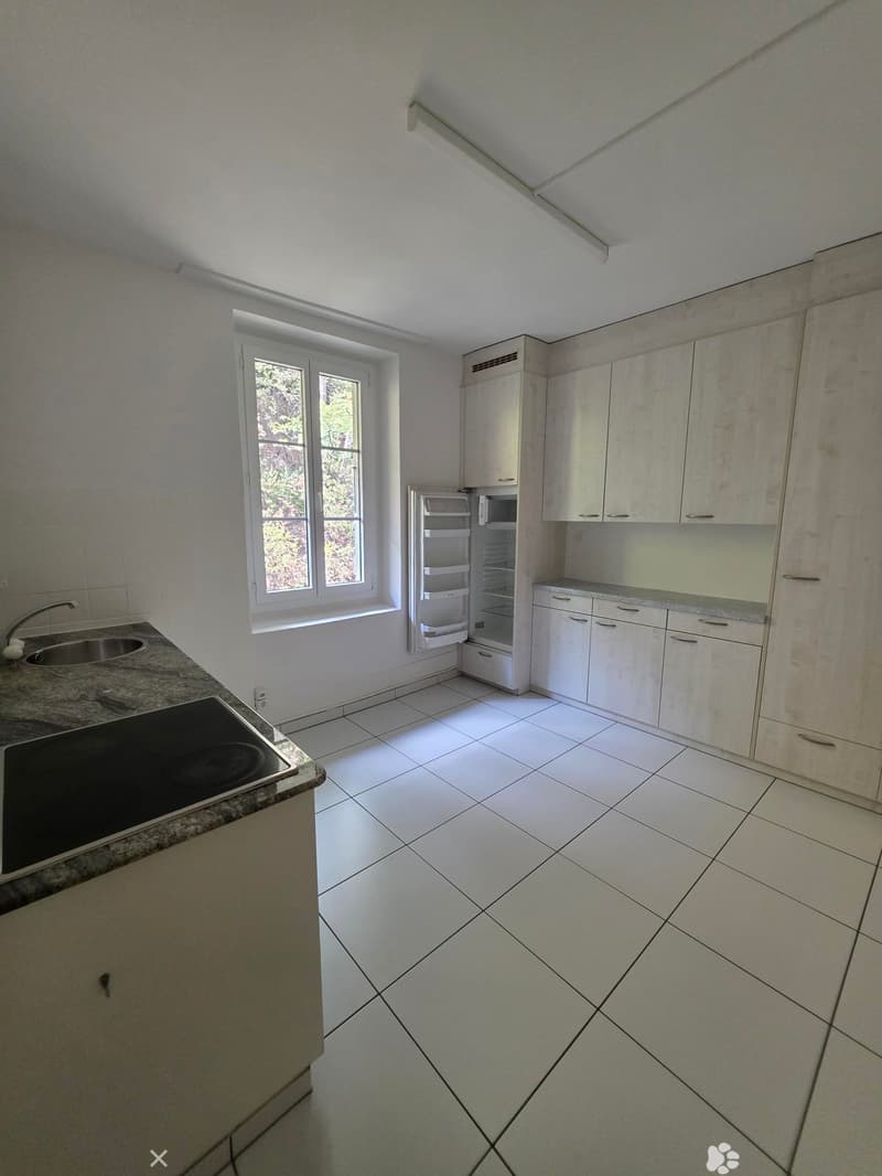 3.5 Zimmerwohnung mit Galerie (4)