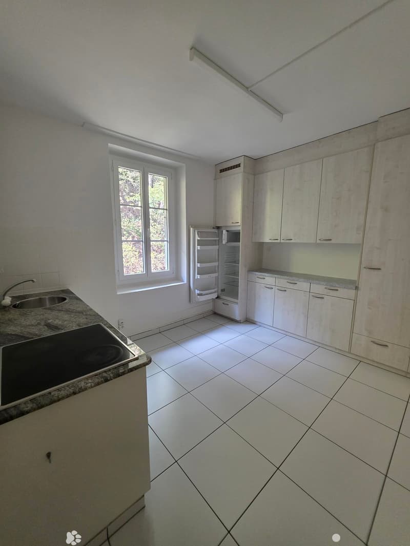 3.5 Zimmerwohnung mit Galerie (4)