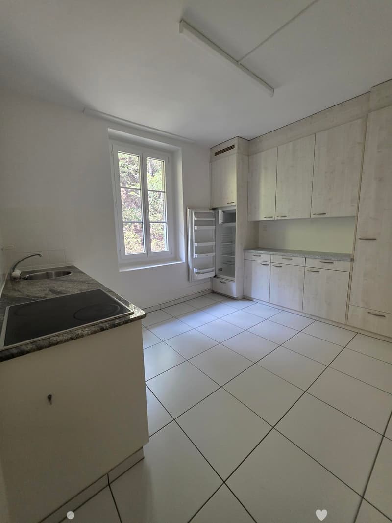 3.5 Zimmerwohnung mit Galerie (3)