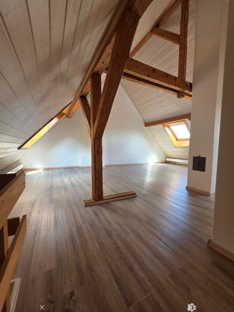 3.5 Zimmerwohnung mit Galerie (2)