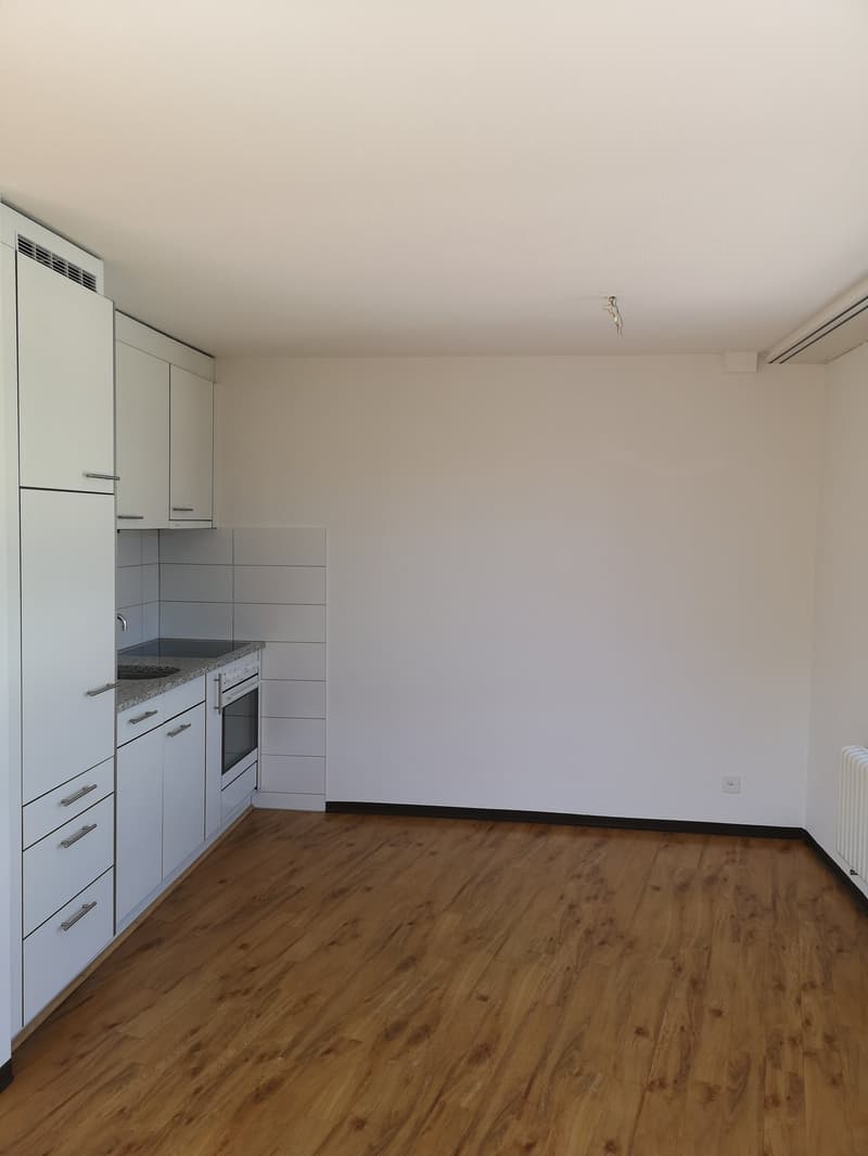 2.5 Zimmerwohnung im Zentrum von Biel / 11043 (1)