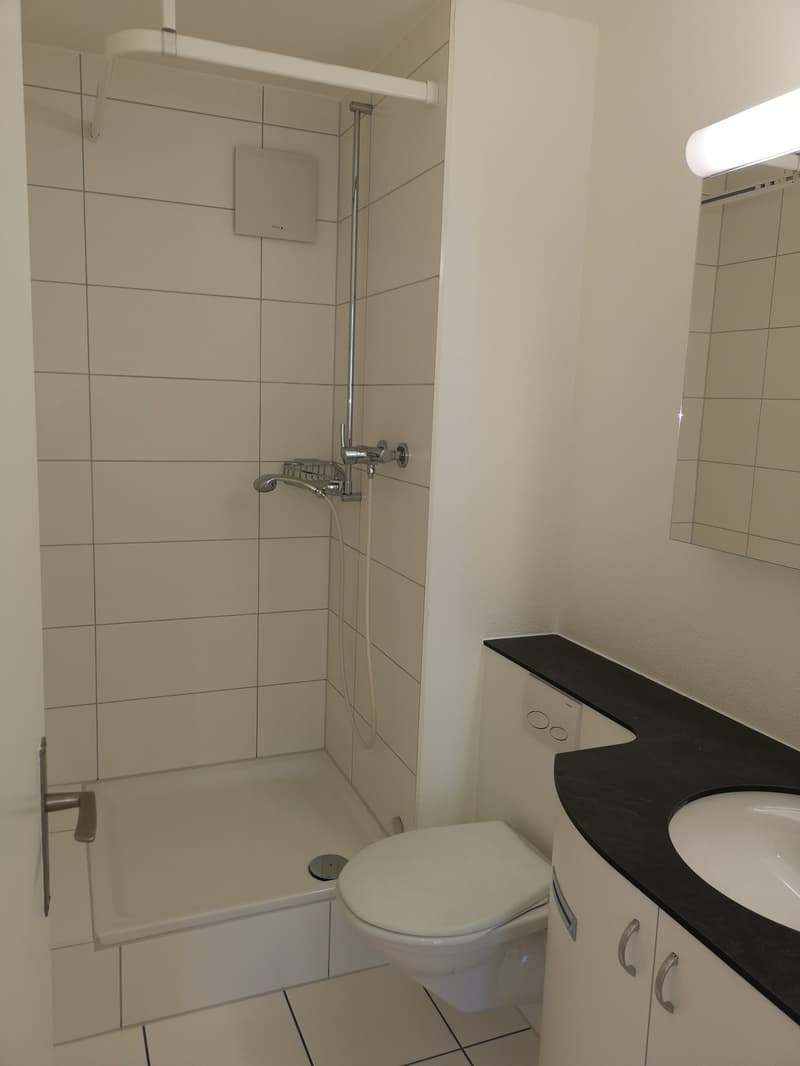 2.5 Zimmerwohnung im Zentrum von Biel / 11043 (2)