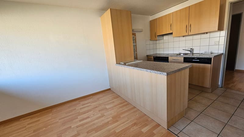 Très bel appartement de 4,5 pièces au 1er étage (2)