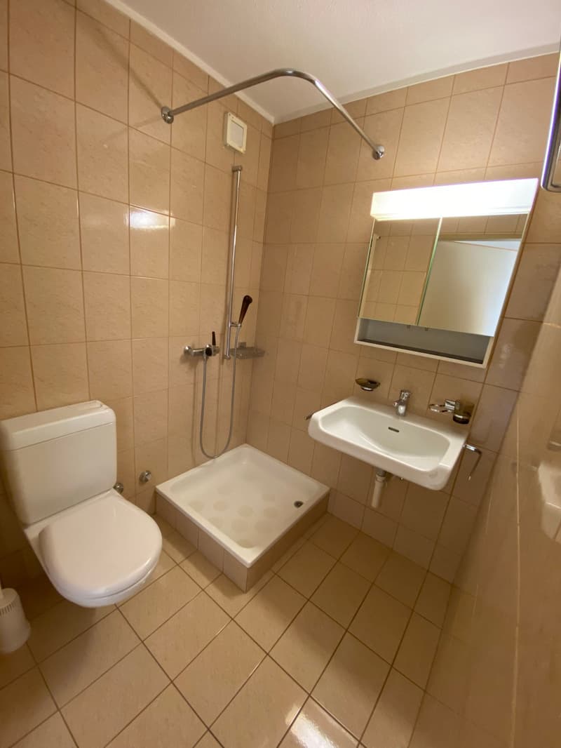 Bel appartement de 4,5 pièces au 6e étage (8)