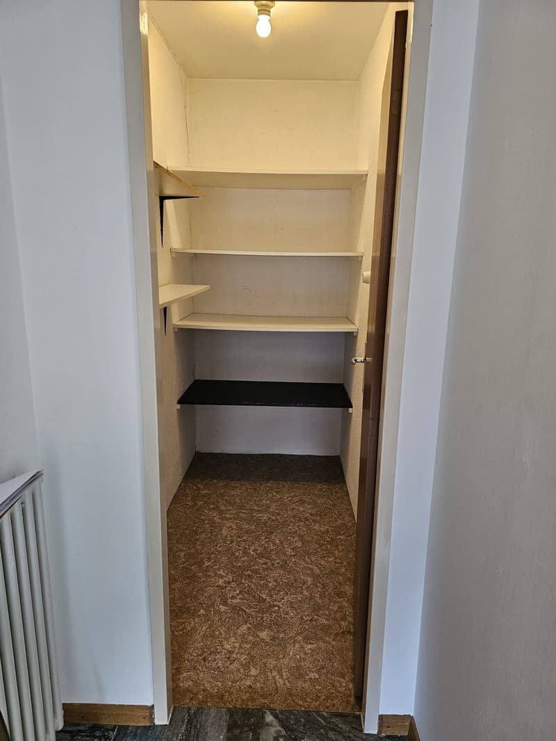 An empty pantry room, white walls, wooden shelves, black shelf, brown carpet floor