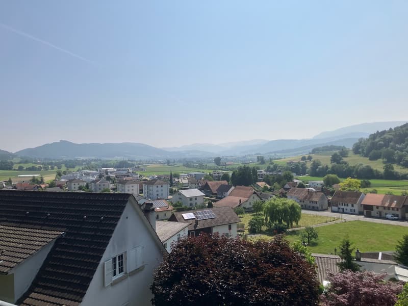 town view with mountains, greenery, houses, solar panels, roads
