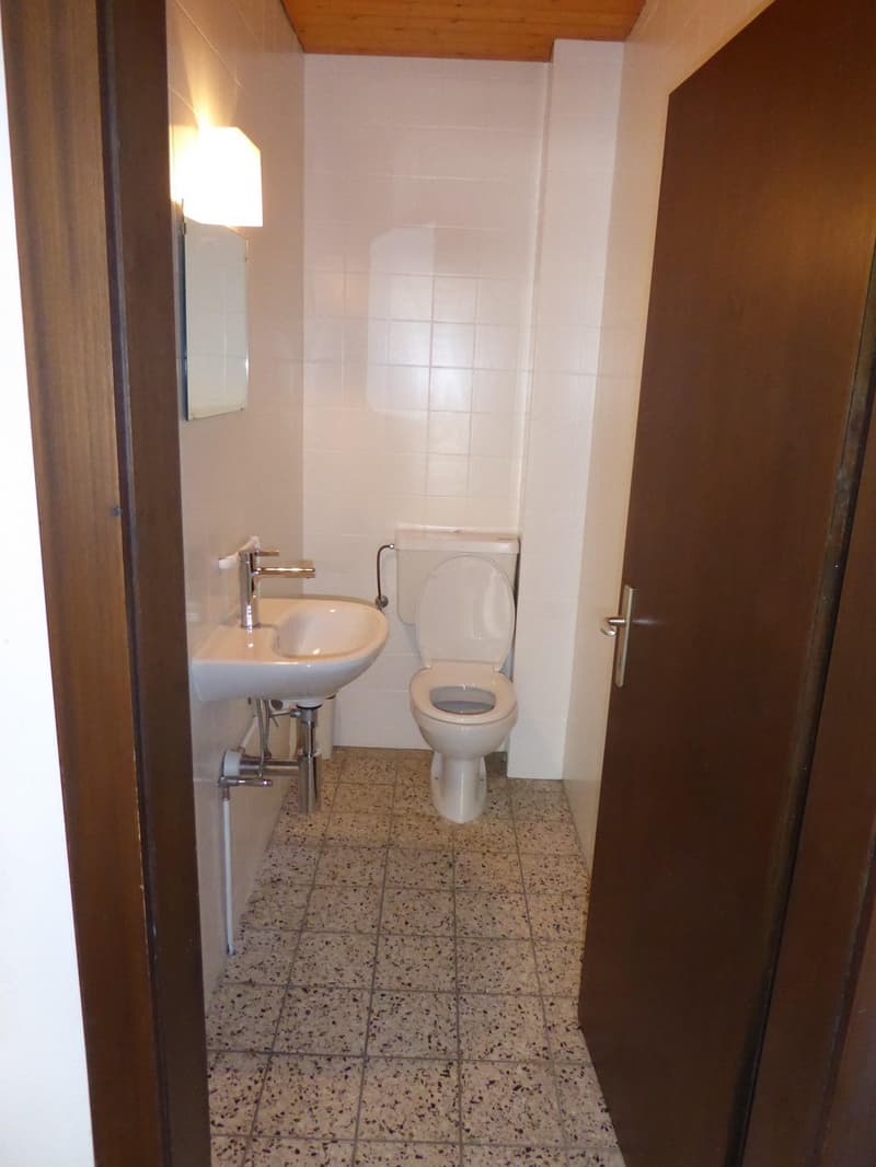 compact bathroom with a toilet, sink, and a mirror
