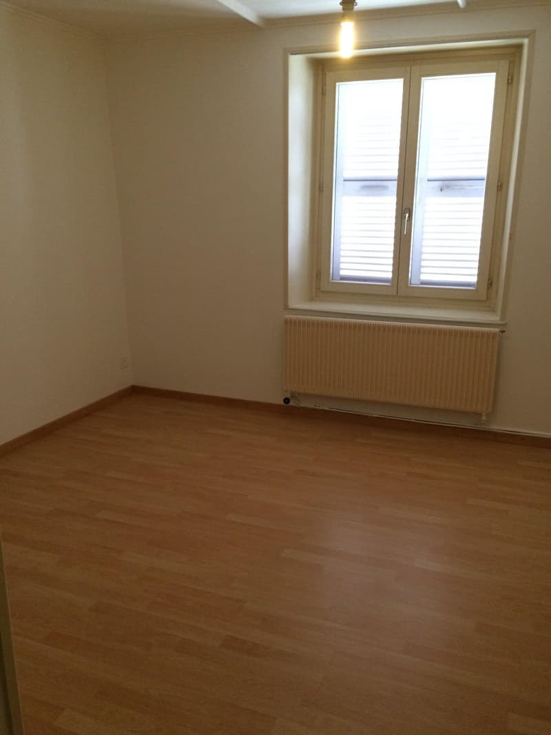 Bel appartement de 3 1/2 pièces au centre ville (6)