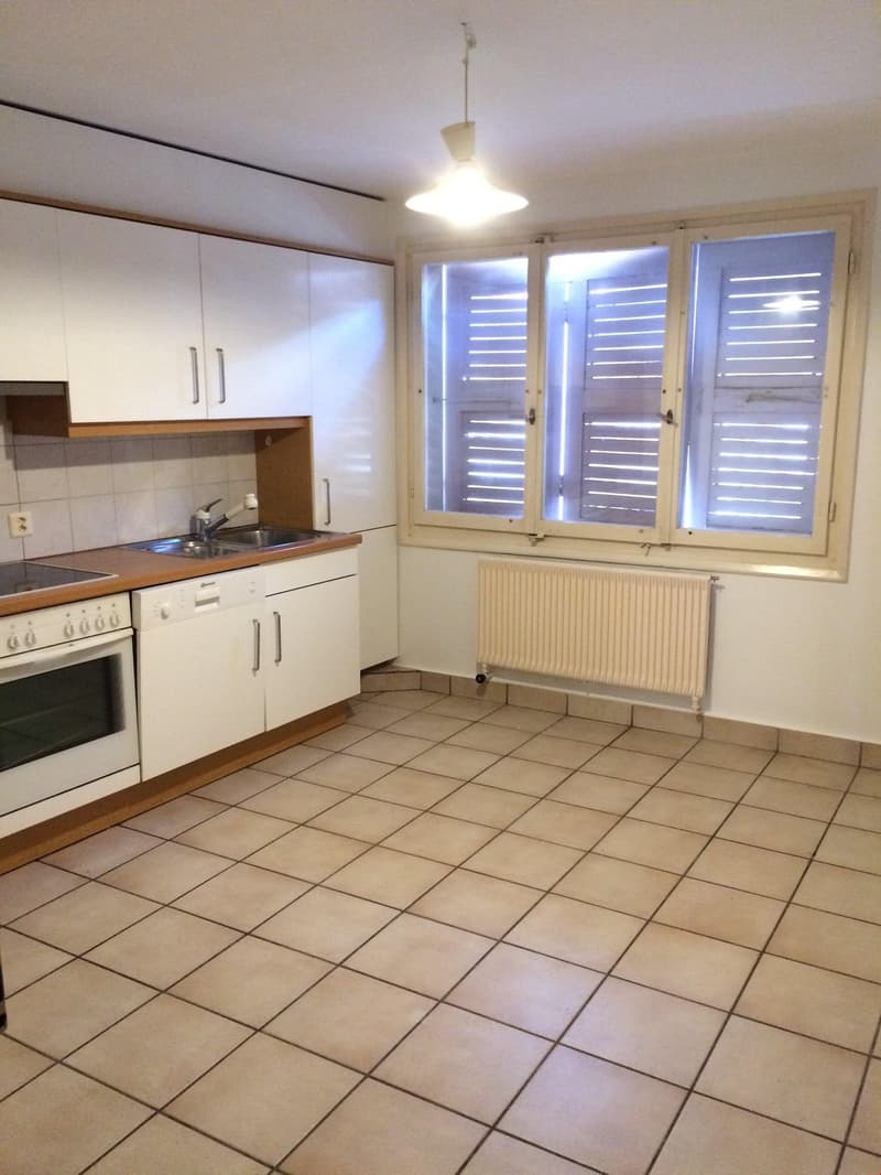 Bel appartement de 3 1/2 pièces au centre ville (3)