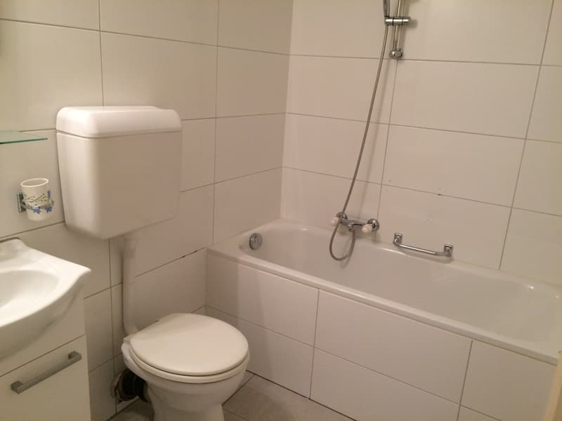 Bel appartement de 3 1/2 pièces au centre ville (4)