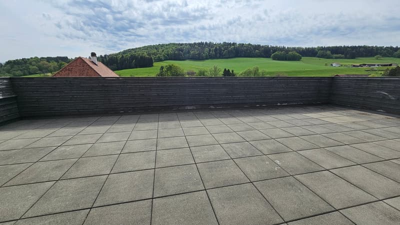 Très bel attique de 3,5 pièces avec grande terrasse (12)