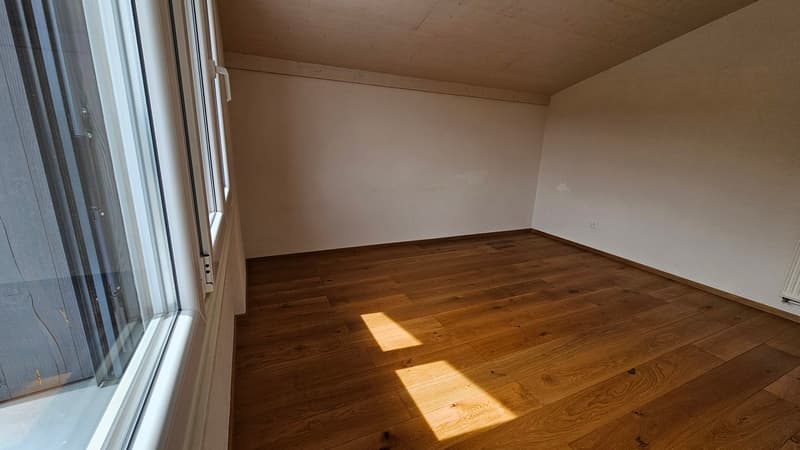 Très bel attique de 3,5 pièces avec grande terrasse (6)