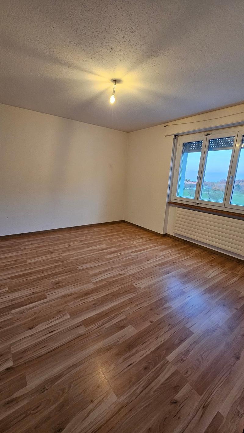 Bel et spacieux appartement de 4,5 pièces au 1er étage (7)