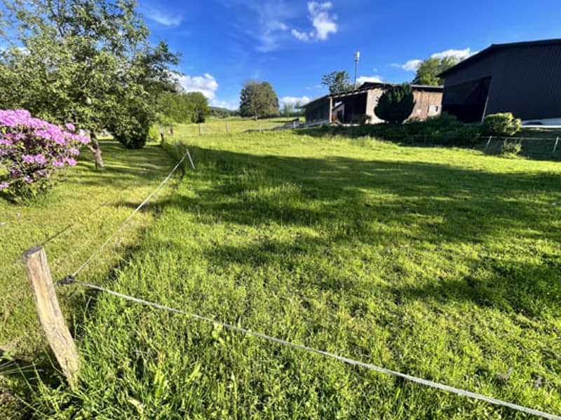 Grand bâtiment comprenant 2 logements de 5,5 pièces (9)