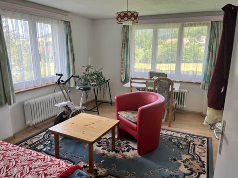 Grand bâtiment comprenant 2 logements de 5,5 pièces (15)