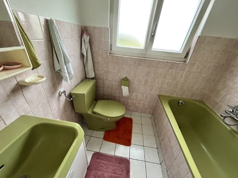 Grand bâtiment comprenant 2 logements de 5,5 pièces (20)