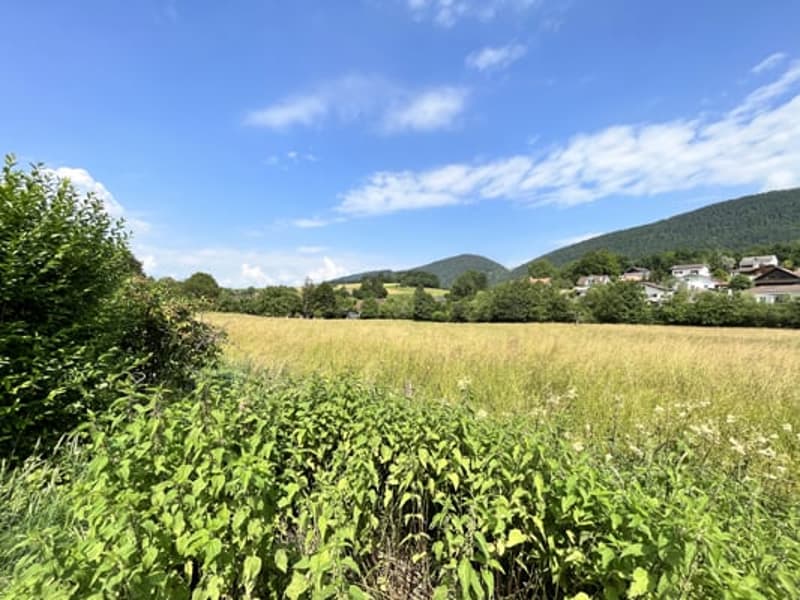 Grand bâtiment comprenant 2 logements de 5,5 pièces (10)
