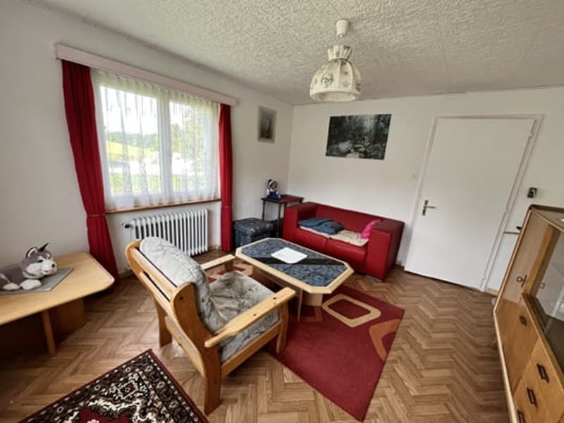 Grand bâtiment comprenant 2 logements de 5,5 pièces (16)