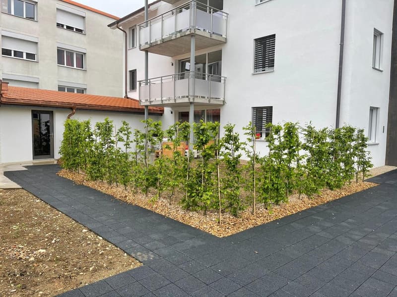 Spacieux appartement de 4,5 pièces au 1er étage (12)