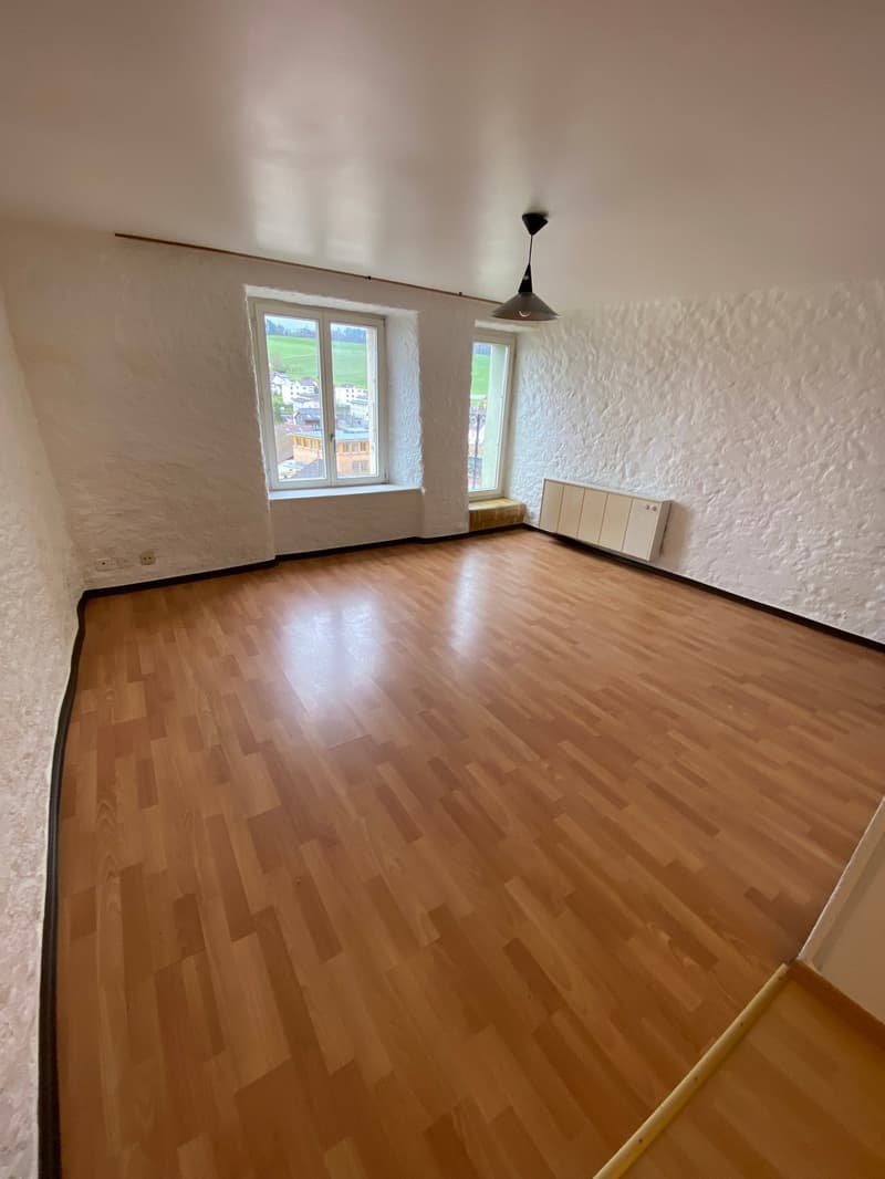 empty room, wooden floor, white walls, two windows, radiator, ceiling lamp