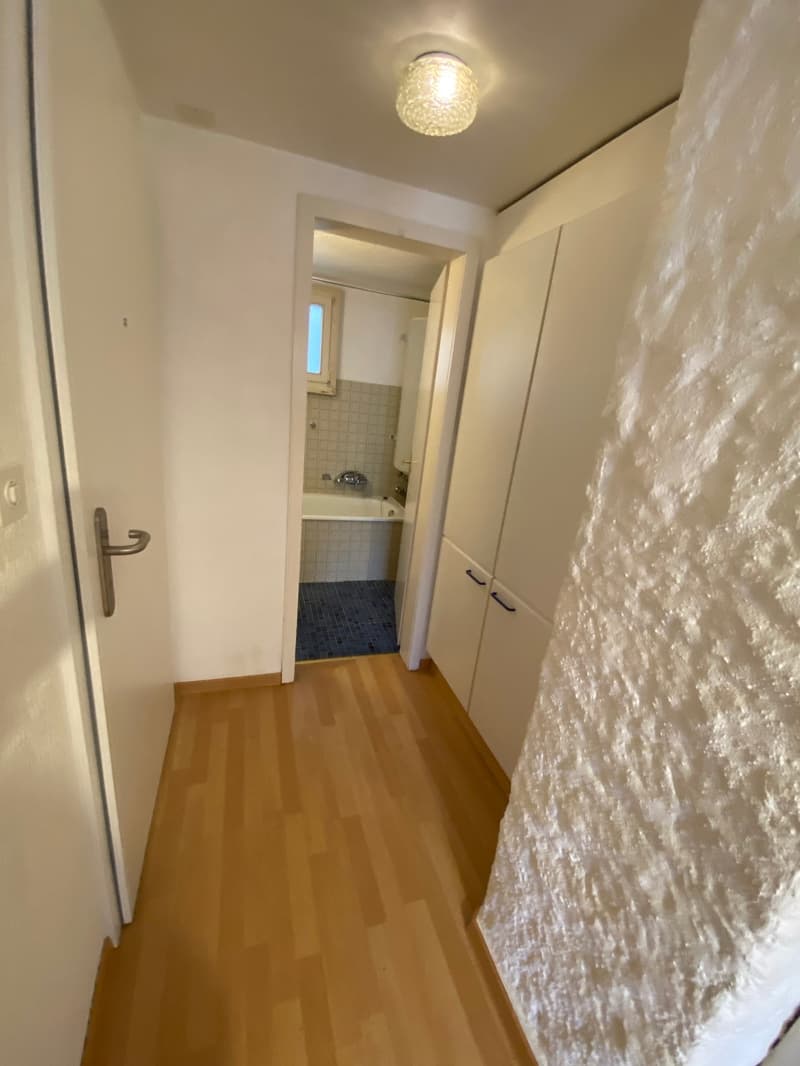 A hallway with wooden floor, white walls, a ceiling light, a white door, a white cabinet, and a bathroom with a bathtub and a window.