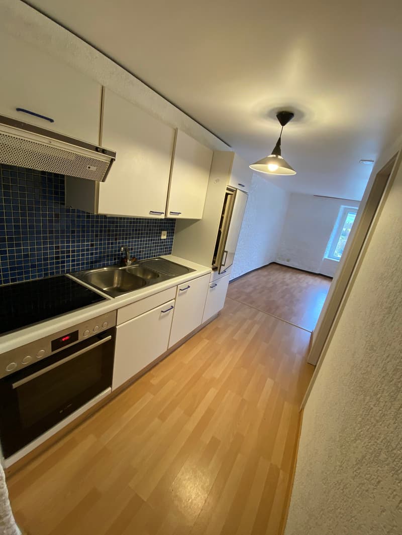modern kitchen with white cabinets, blue tiles, stainless steel sink, induction stove, dishwasher, refrigerator