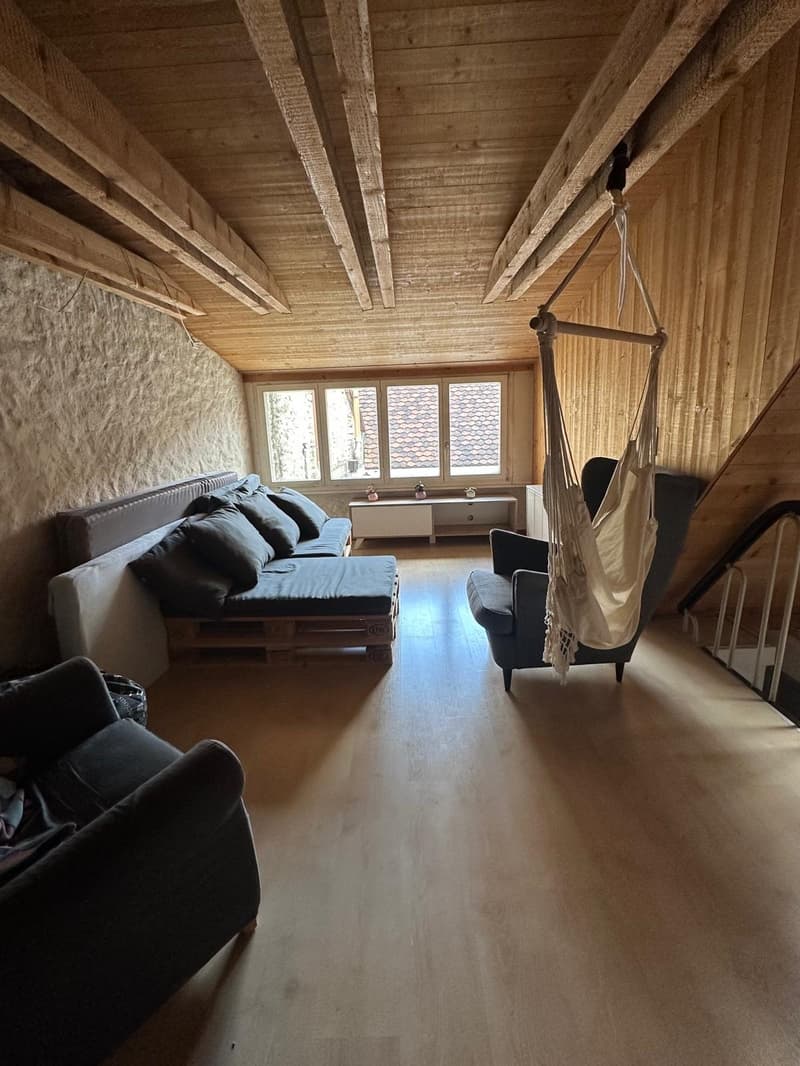 wooden ceiling, wooden floor, sofa, armchair, hammock, windows, desk