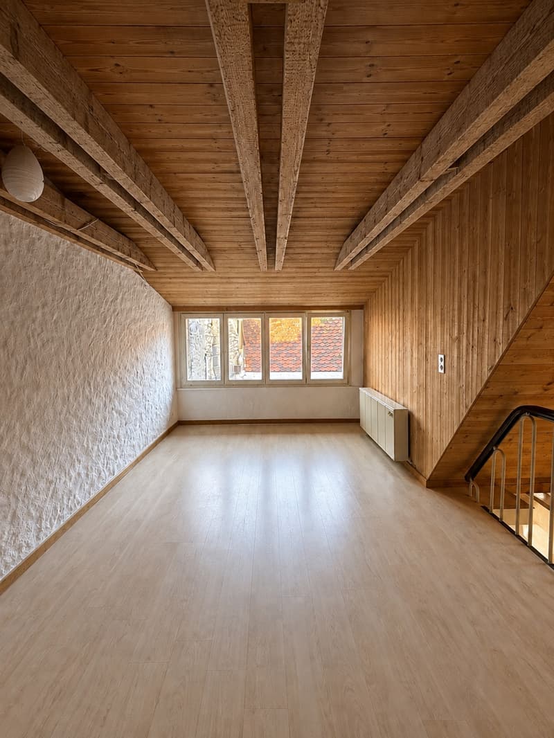 Magnifique 3.5 pièces en duplex au 3ème étage au coeur de la vieille ville (3)