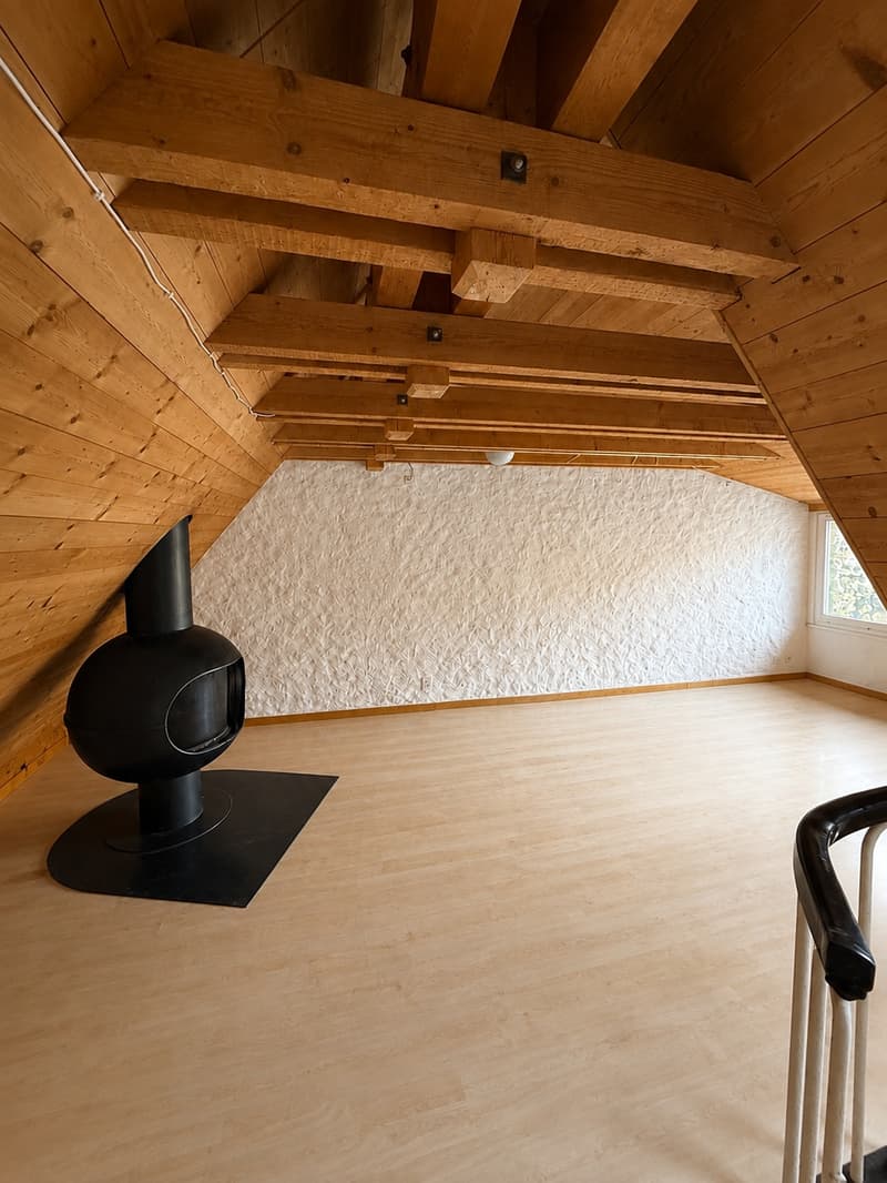 Magnifique 3.5 pièces en duplex au 3ème étage au coeur de la vieille ville (2)