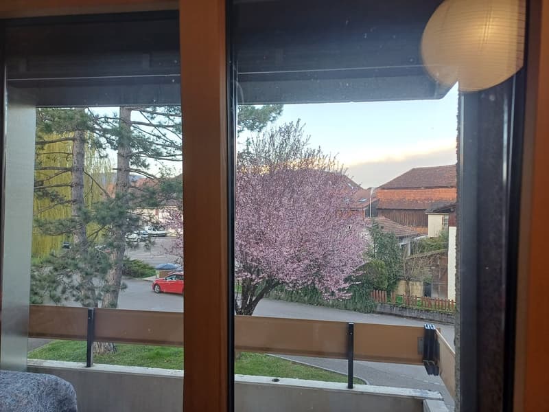 View from the balcony, red car parked, cherry blossom tree, houses, street, trees, grass