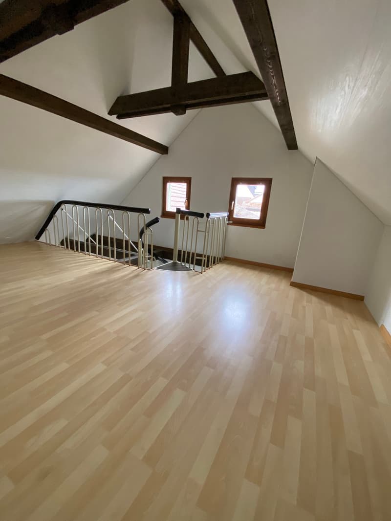 Magnifique 2.5 pièces en duplex au 3ème étage au coeur de la vieille ville (10)