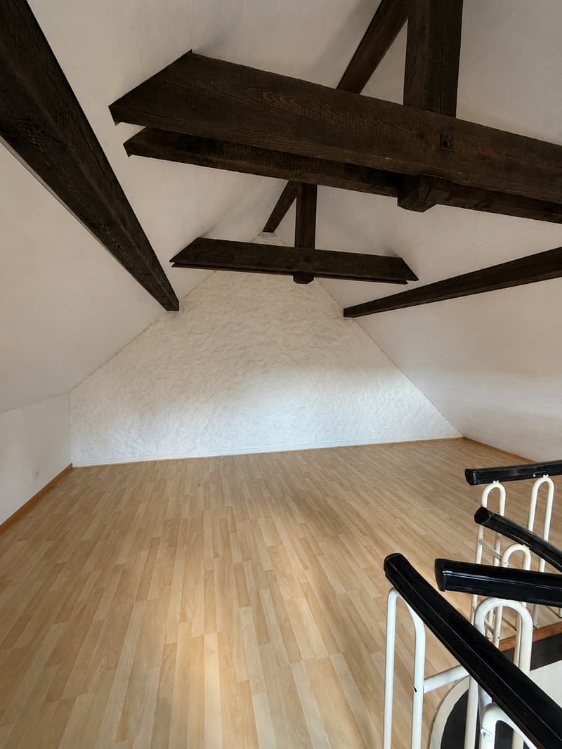 Magnifique 2.5 pièces en duplex au 3ème étage au coeur de la vieille ville (7)