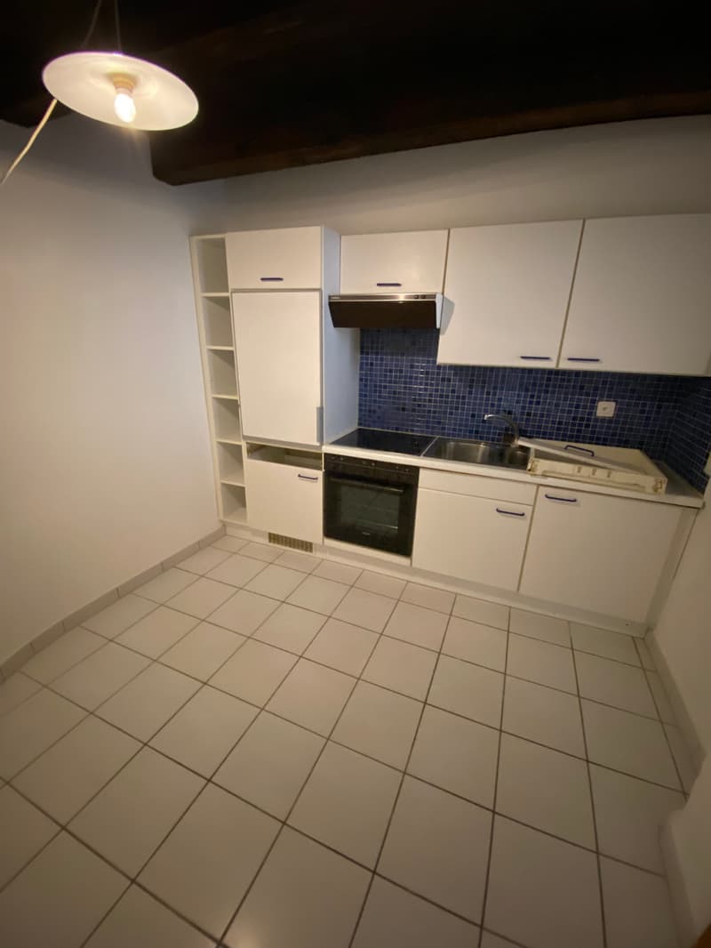 Magnifique 2.5 pièces en duplex au 3ème étage au coeur de la vieille ville (2)