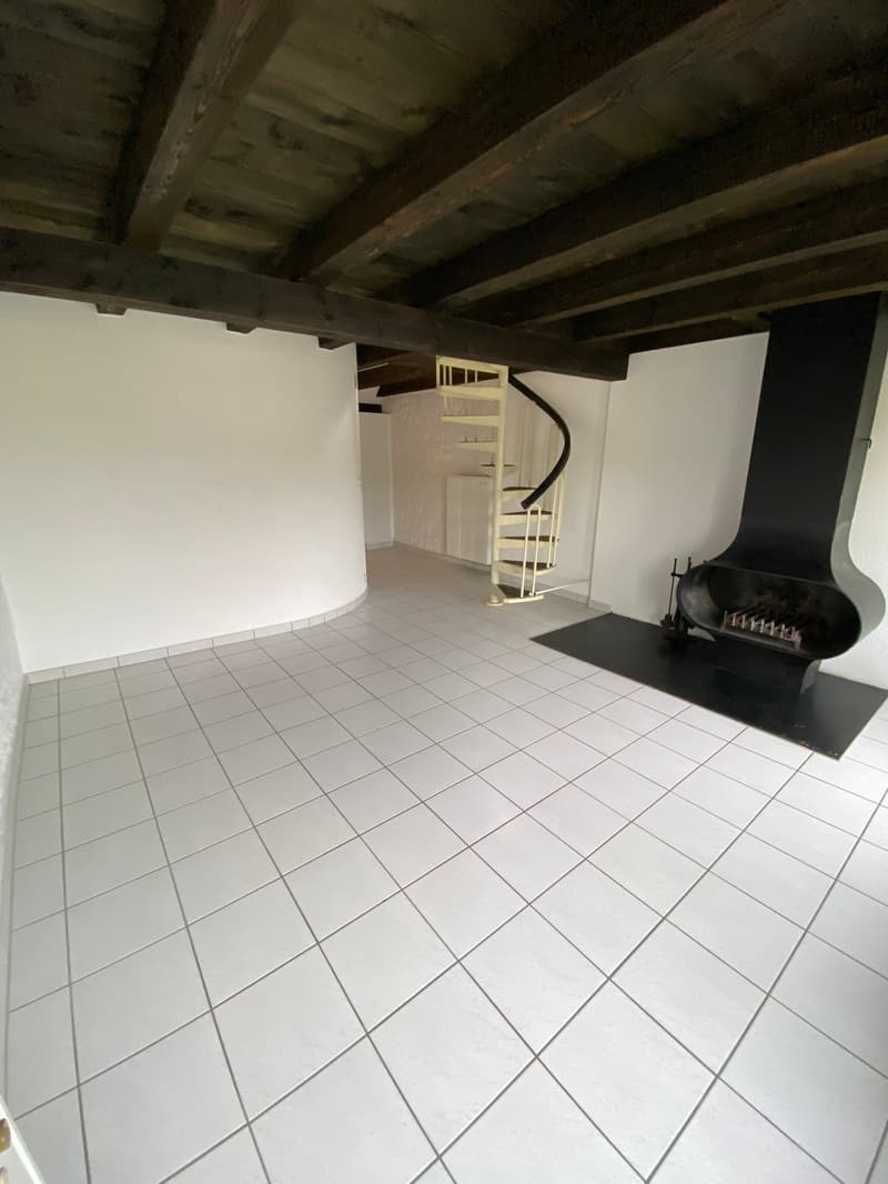 Magnifique 2.5 pièces en duplex au 3ème étage au coeur de la vieille ville (4)