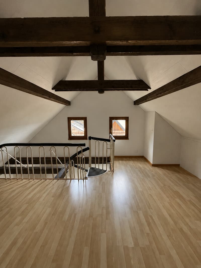 Magnifique 2.5 pièces en duplex au 3ème étage au coeur de la vieille ville (6)