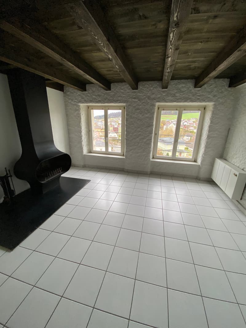 Magnifique 2.5 pièces en duplex au 3ème étage au coeur de la vieille ville (5)