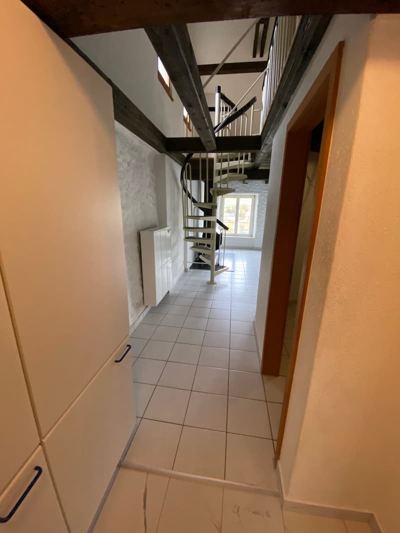 Magnifique 2.5 pièces en duplex au 3ème étage au coeur de la vieille ville (7)